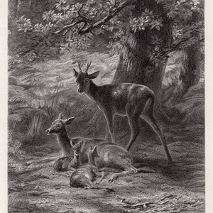 ギュスターヴ・ドレ作 1800年代 アンティーク木版画「アダム