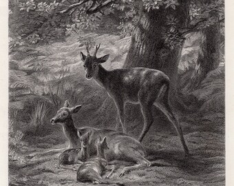 1800s Rosa BONHEUR SIGNED Engraving &quot;The Resting Place of the Deer&quot; Gallery Framed COA