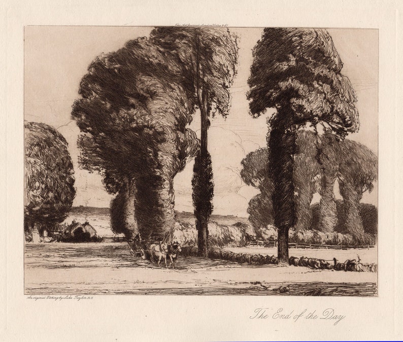 ORIGINAL Luke Taylor Etching The End of the Day Custom Framed SIGNED Gallery Certificate Included