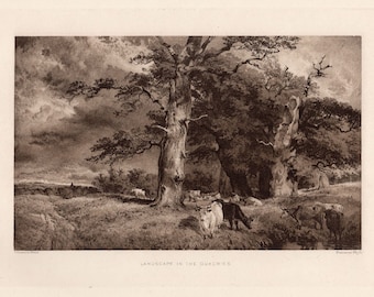 1800s Henry DAWSON Antique Print "Cattle Roaming the Dukeries" SIGNED Framed Certificate of Authenticity