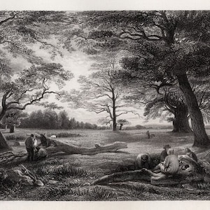 Op de afbeelding: Een zwart-wit gravure van een boslandschap met mensen die onder een grote boom zitten. De bomen zijn kaal en de lucht is bewolkt. De mensen zijn gekleed in 19e-eeuwse kleding.