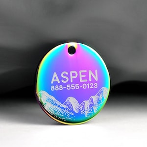 Engraved Mountain Dog ID Tag Personalized Stainless Steel Pet Tag