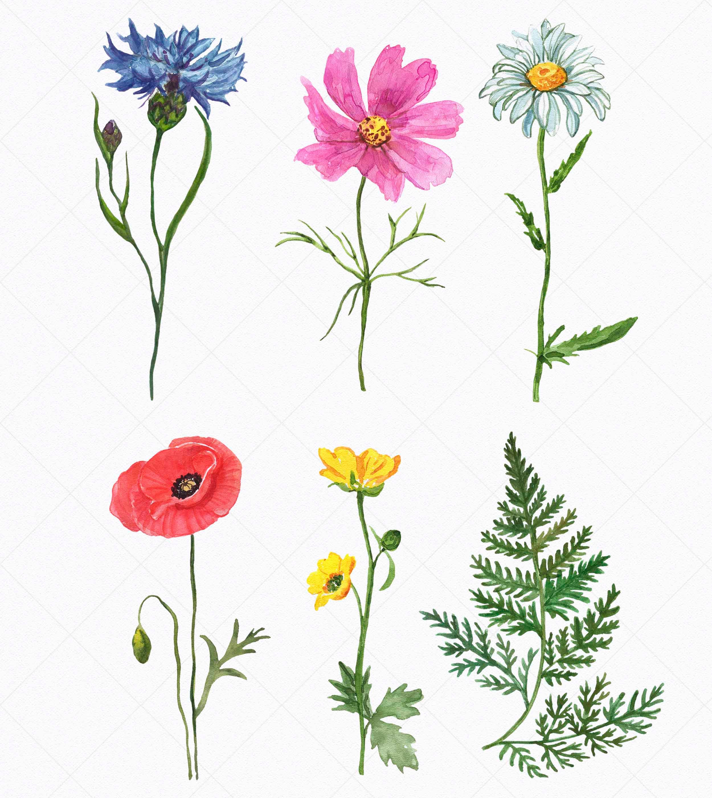 Wildflowers Wall Art Print Clipart Wildflower Poster DIGITALE Etsy