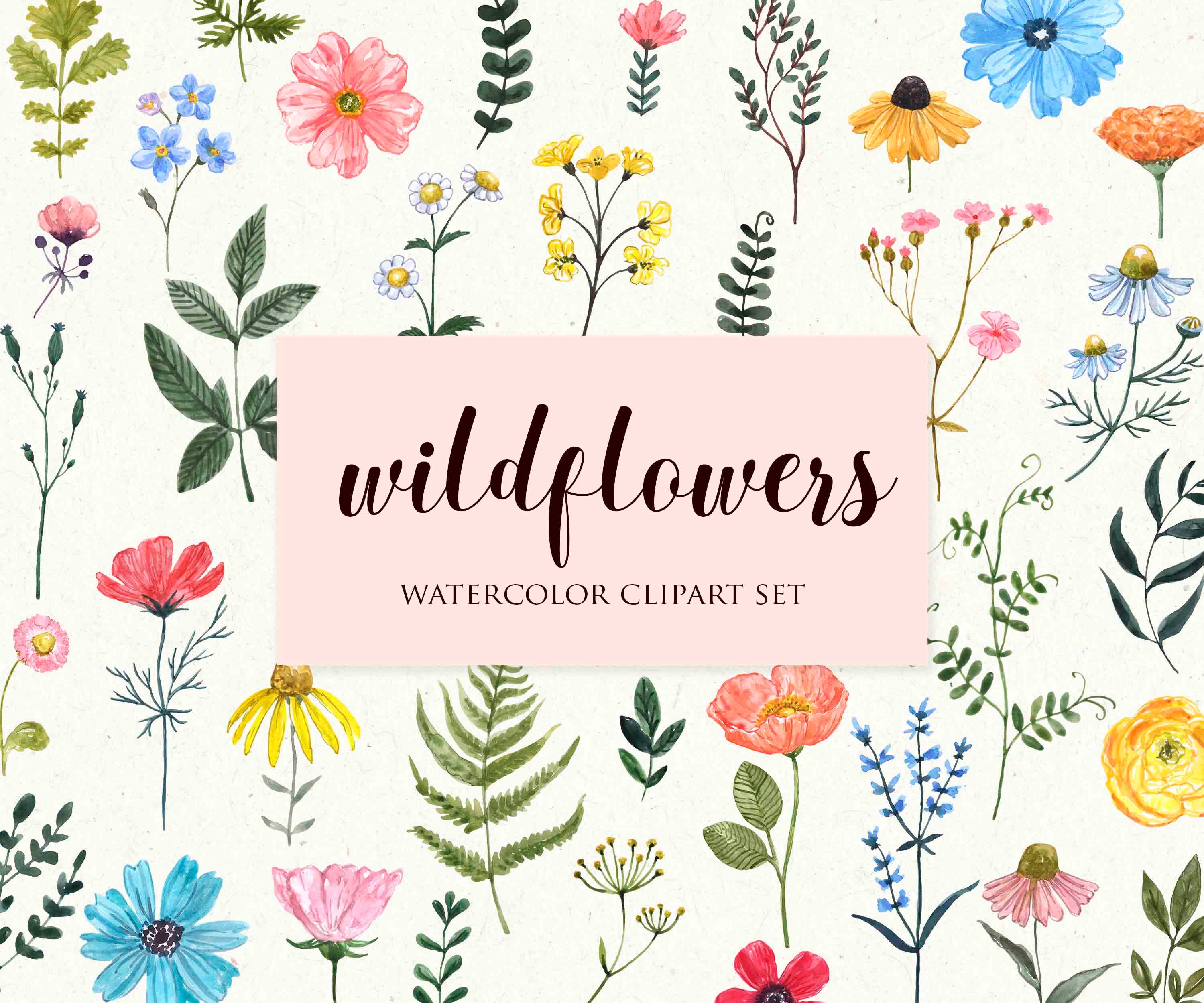 Wildflowers Clipart Watercolor Wild Flower Floral Illustration | Etsy