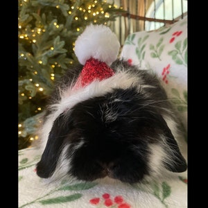 Santa Hat for Rabbits, Dogs, Cats,, Bunny, & small pets.Christmas