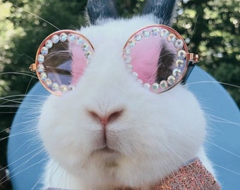 "Pink Diamond" bril voor konijnen, konijnen, katten en kleine huisdieren. Zonnebrillen