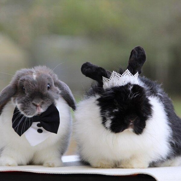 Bunny Wedding - Etsy