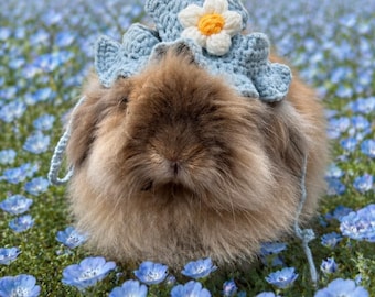 Bluebell Knitted Hat for bunnies, rabbits, cats, dogs, ferrets, small pets. Summer, spring, sun hat, blue