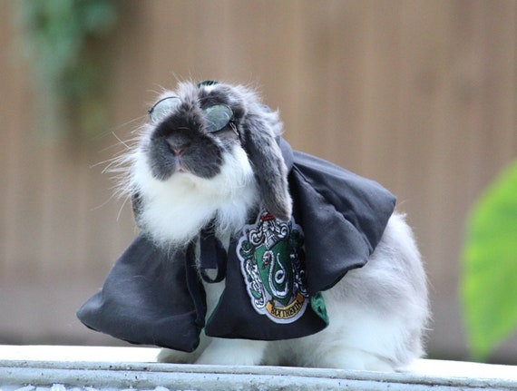 Pet Rabbit Costume Hooded for Small Dogs and Cats (Small)　並行輸入品 Slytherabbit Cloak Robe. GREEN Wizard. Witch. for Bunnies, Cats