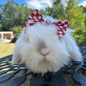 May include: A white fluffy rabbit wearing a red and white checked bow on its head. The rabbit is sitting on a black metal table with a floral design.