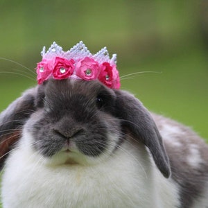 Elegant Crown  For Bunny ; multiple colors; Rabbit ; Up ear, Lop ear ; crown with Flowers & diamonds