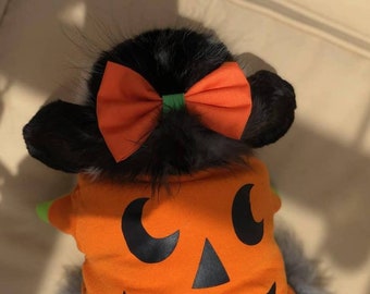 Pumpkin” Pet bow for rabbits, dogs, cats, guinea pigs, Bunny, hedgehogs & small pets