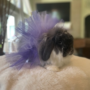 Periwinkle&quot; Pet tutu for rabbits, cats, small dogs, Bunny,  Small pet clothes. Glittery. Purple