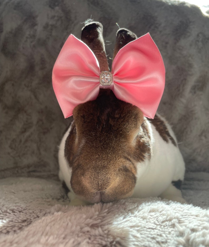 Morganite Satin Bow with genuine lab-created diamond for Rabbits,Bunny, dog, cats & small pets Haute Couture collection. Pink. Valentines image 3