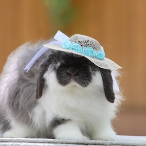 Bun-Hat for bunny, rabbit, cat, small dogs, small pets. Spring. Summer. Sun hat