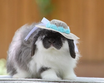 Bun-Hat for bunny, rabbit, cat, small dogs, small pets. Spring. Summer. Sun hat