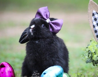 Amethist satijnen strik met echte, in het laboratorium gemaakte diamant voor konijnen, konijntjes, honden, katten en kleine huisdieren "Haute Couture-collectie". Paars