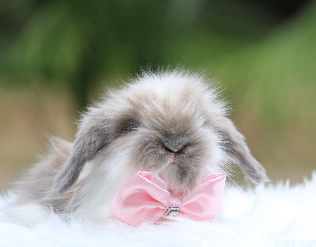 Opal Mini Satin Rabbit MINI STYLE BUNNY: Knitting Pattern Ribblr