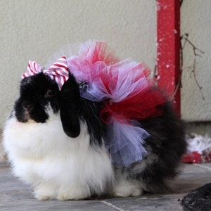 Candy Cane &quot; Pet tutu for rabbits, cats, small dogs, Bunny,  Small pet clothes. Glittery. Red & white. Christmas Valentine’s Day