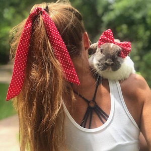 MATCHING SET/ Poppin&quot; Pet bow and Hair tie Ribbon for rabbits, cats, Bunny & small pets