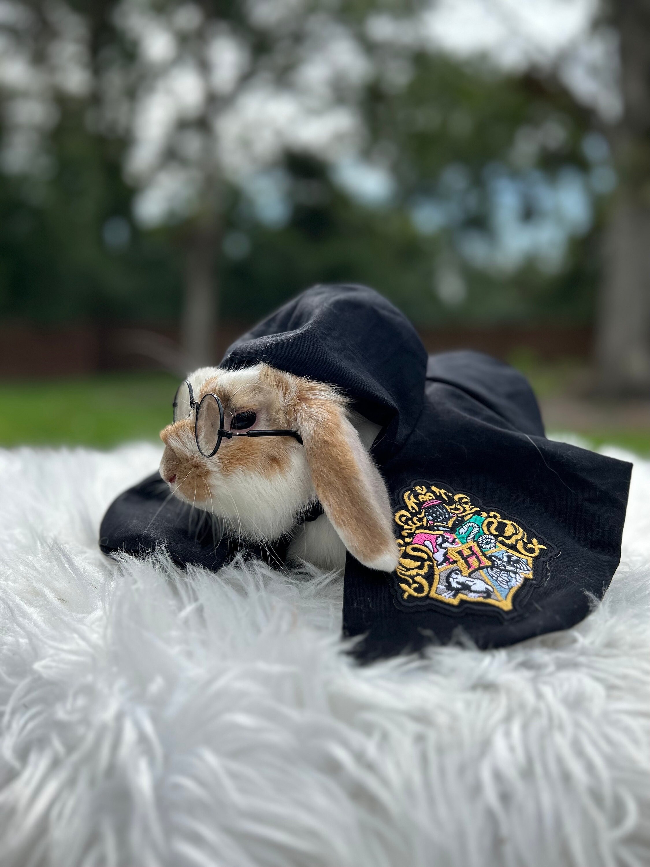 Pawgwarts Cloak Robe. BLACK School Crest. Wizard. Witch. for Bunnies ...