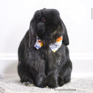 Marigold Pet bow for rabbits, cats, dogs, guinea pigs, Bunny, hedgehogs & small pets.