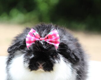 Watermelon Sugar' Pet bow for rabbits, cats, dogs, guinea pigs, Bunny, hedgehogs & small pets. Summer collection.