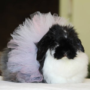 Princess Pet tutu for rabbits, cats, small dogs, Bunny,  Small pet clothes. Glittery. Pink & white