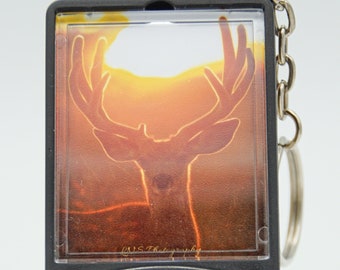 Sunrise Mule Deer Buck Safety Keychain Flashlight Combo