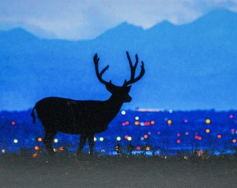 City Buck Magnet; mule deer buck, collectible magnet, perfect for deer & wildlife lovers