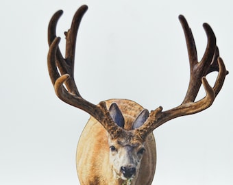 FREE SHIPPING! Massive Mule Deer Buck 2-D Photo Statuette; great gift for deer lovers, hunter, nature lovers; realistic 3-D look