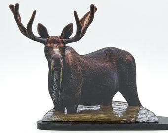 FREE SHIPPING! Impressive Velvet Bull Moose 2-D Photo Statuette; great gift for moose lovers, realistic 3-D look