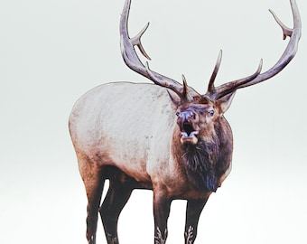 FREE SHIPPING! Bugling Bull Elk 2-D Photo Statuette; gift for elk lovers, realist 3-D look