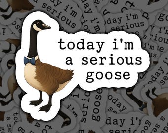 Funny Goose Sticker, Today I’m A Serious Goose Decal, Cute Bird Sticker