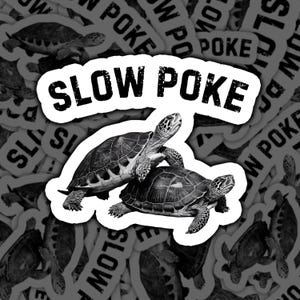 Turtles Slow Poke, Sticker, Slow Poke Sticker, Turtle Decal, Funny Turtle, Turtle Design, Cute Turtles, Turtle Art, Animal Sticker