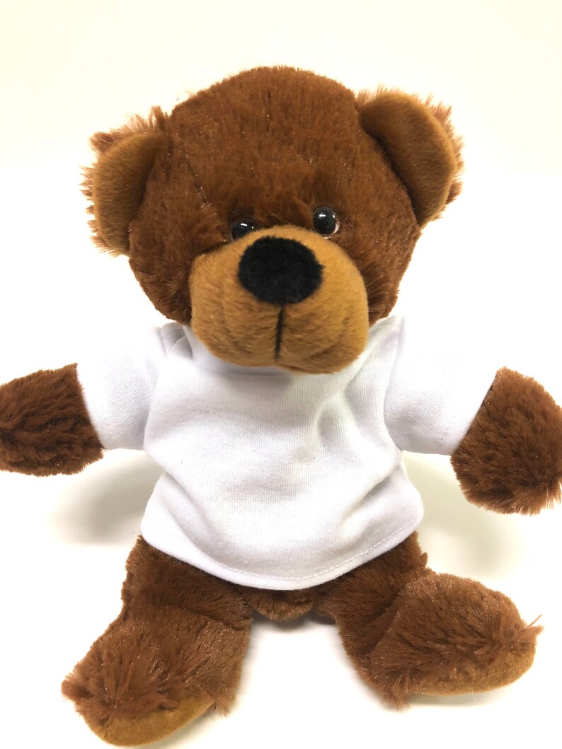 small teddy bear with shirt