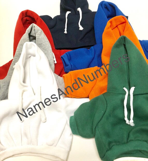 teddy bear colorful hoodie