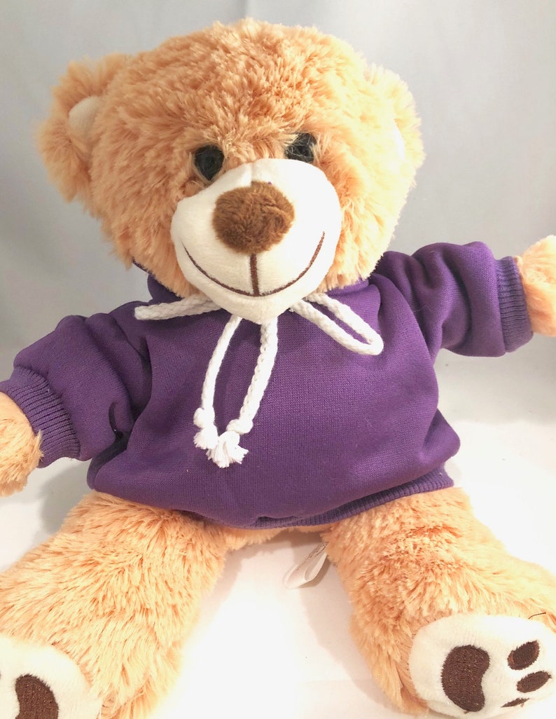 Personalized Teddy Bear Hoodie Choose your color hoodie | Etsy