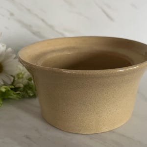 May include: A tan ceramic bowl with a slightly flared rim. The bowl has a speckled texture and a smooth, glossy finish. White daisies and greenery are visible in the background.