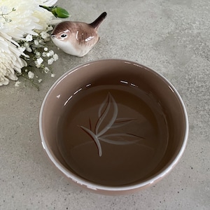 May include: A brown ceramic bowl with a white leaf design. The bowl is empty and has a white rim.