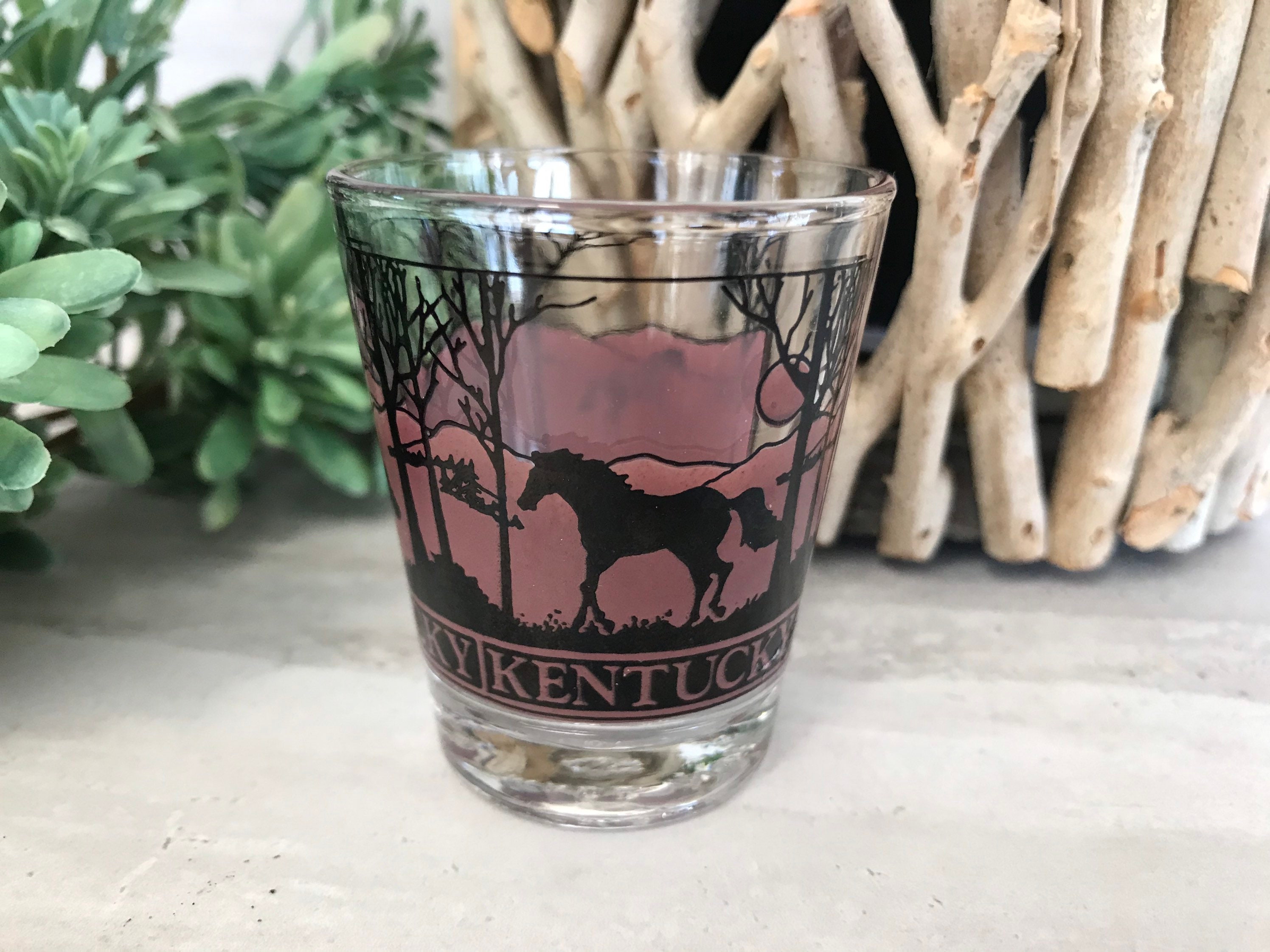 Vintage Kentucky Souvenir Shot Glass Etsy