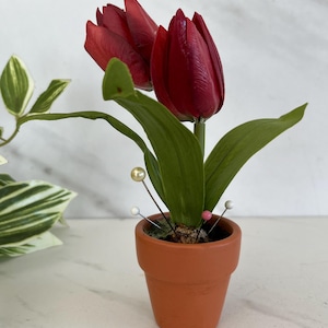 May include: A terracotta flower pot with a single stem of red tulips and several colourful pins sticking out of the soil.