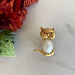 May include: A gold-tone cat brooch with a pearl and red rhinestone accents.