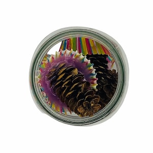 Insect Repellent Pine Cone Mini Muffins (6) Assorted Colours Island Blend