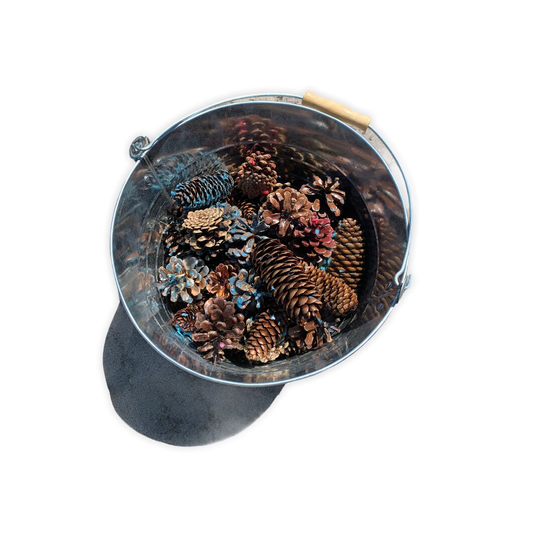 60 Insect Repellent Campfire Pine Cones Assorted Colours Etsy