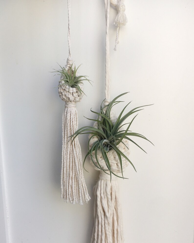 Macramé Air Plant Pod Macrame Etsy