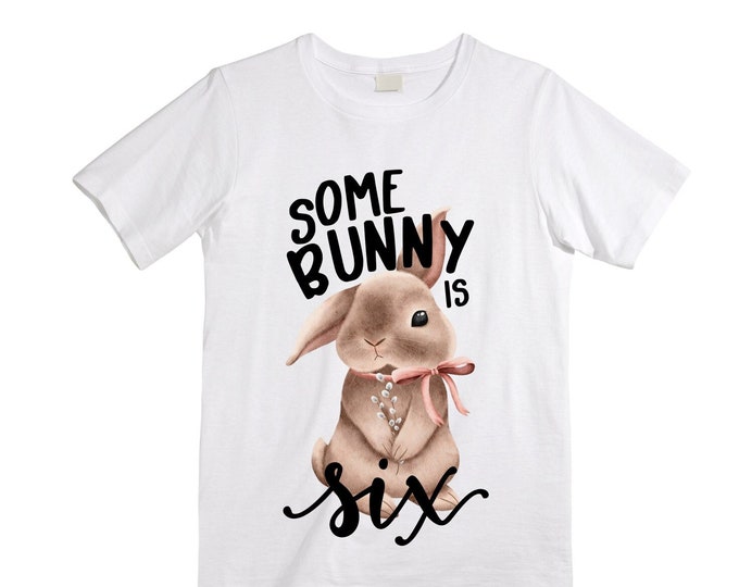 Personalized Some BUNNY is SIX - Rabbit Bunny Themed Birthday Girl Shirt. Cake Smash Birthday Shirt. 6th . Birthday Shirt