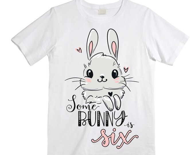 Personalized Some BUNNY is SIX - Rabbit Bunny Themed Birthday Girl Shirt. Cake Smash Birthday Shirt. 6th . Birthday Shirt