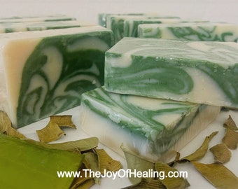Aloe Shea Butter Soap, Natural Cold Process Handmade Soap