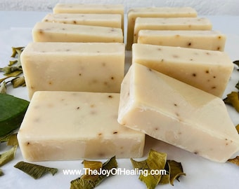 Eucalyptus Aloe Shea Butter Natural Handmade Cold Process Soap by The Joy Of Healing